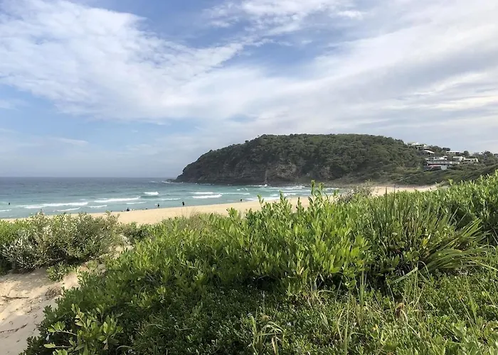 Beachbreak Boomerang